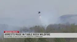 Teenagers Charged in Connection with Table Rock Wildfire
