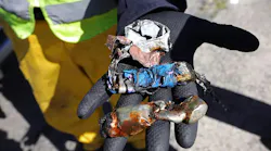 A worker shows lithium-ion batteries after they were shredded.