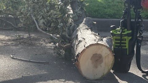 Wichita Fire Department said the branch was nearly 150 pounds and fell 25 toward a firefighter and paramedic who were treating a fall victim.