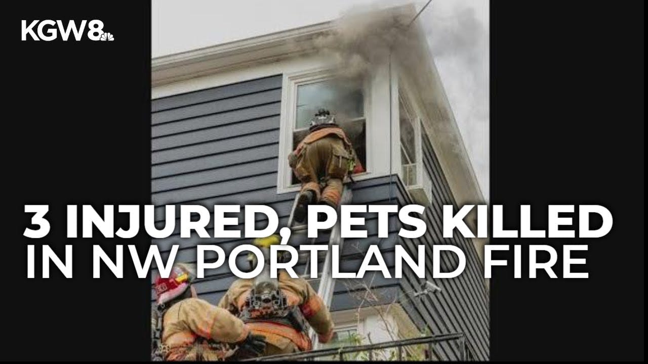 Fire damages Northwest Portland apartments, injures man and firefighter; pets killed in blaze