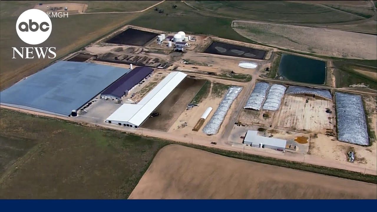 Investigation underway after Colorado dairy farm accident kills 6 people