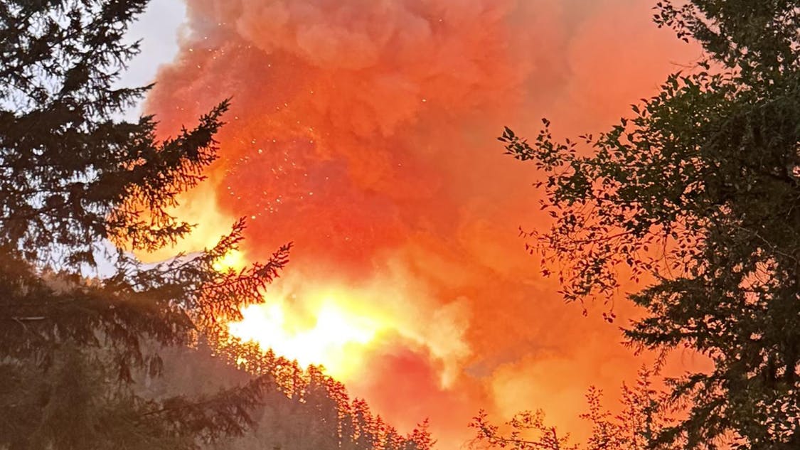 Fifty members of Congress are calling on the Department of Homeland Security for answers after two crew members fighting the Bear Gulch fire in Washington were arrested by immigration officials.