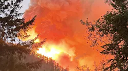 Fifty members of Congress are calling on the Department of Homeland Security for answers after two crew members fighting the Bear Gulch fire in Washington were arrested by immigration officials.