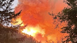 Fifty members of Congress are calling on the Department of Homeland Security for answers after two crew members fighting the Bear Gulch fire in Washington were arrested by immigration officials. Fifty members of Congress are calling on the Department of Homeland Security for answers after two crew members fighting the Bear Gulch fire in Washington were arrested by immigration officials.