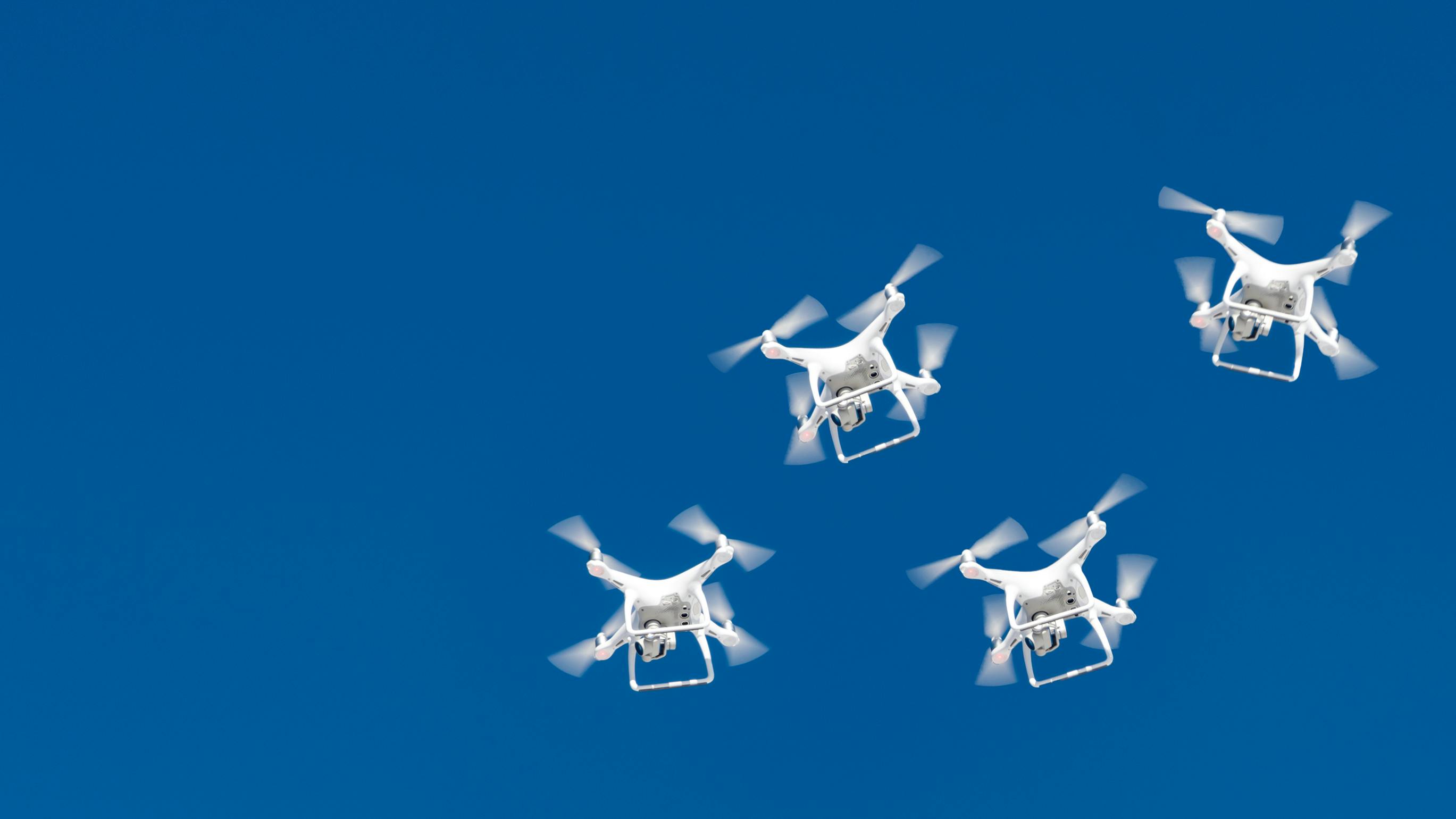 68b981d02b52d56fd38a9afa Dreamstime L 164645518