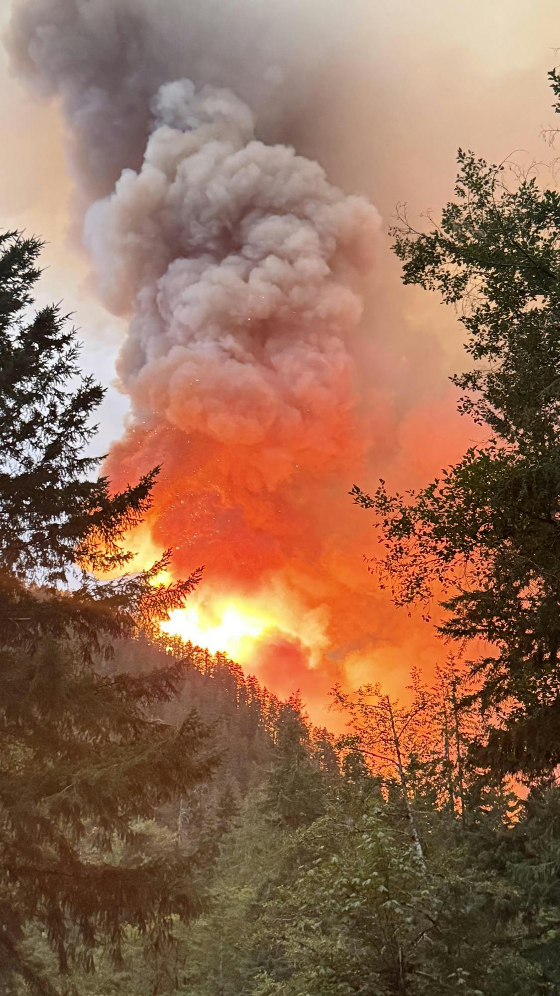 The Bear Gulch fire burns in Washington state's Olympic National Park on July 29.