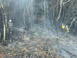 Members of Colombia's National Unit for Disaster Risk Management (UNGRD) work through dense terrain to contain a forest fire and prevent further spread. Members of Colombia's National Unit for Disaster Risk Management (UNGRD) work through dense terrain to contain a forest fire and prevent further spread.