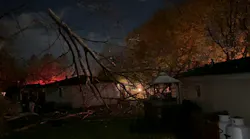 Toppled Tree Traps Woman in South Mountain, PA, Bed for Two Hours