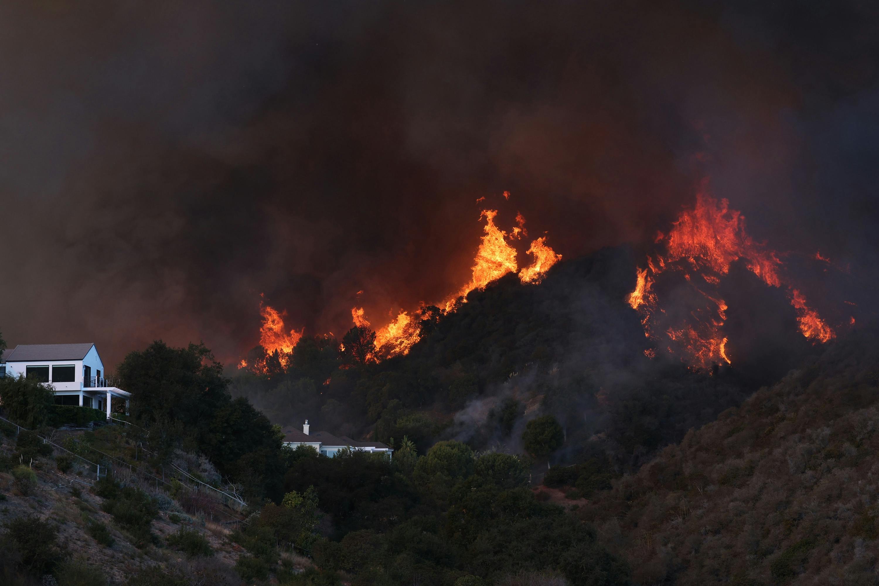 The Palisades wildfire has been traced to a brush fire that some firefighters knew wasn't extinguished.