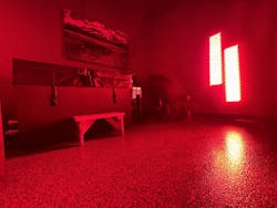 Red light therapy has a ton of proven health benefits from muscle recovery to enhancing circulation. Red light therapy has a ton of proven health benefits from muscle recovery to enhancing circulation.