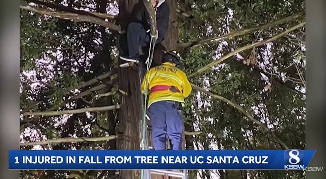 Person Fell 80 Feet from Santa Cruz, CA, Tree as Firefighters Prepared for Rescue