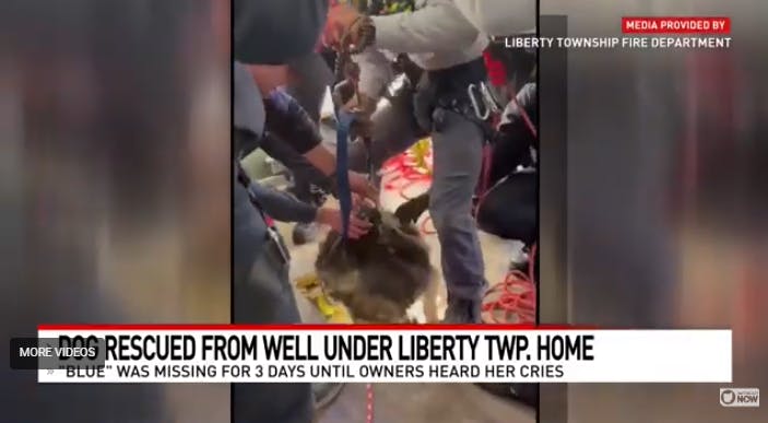 A dog that fell into a hidden well under a house was hoisted out by technical rescue crews in Liberty Township, OH.