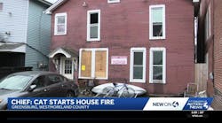 Cat responsible for starting fire in Greensburg, Pennsylvania Cat responsible for starting fire in Greensburg, Pennsylvania