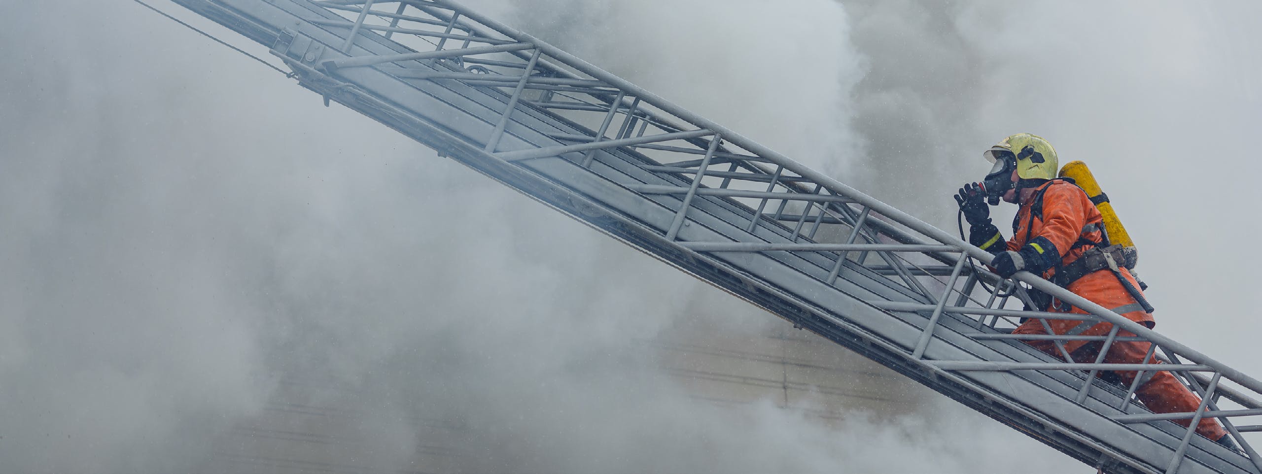 primary_image_ansellate