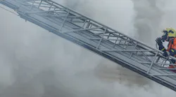 primary_image_ansellate primary_image_ansellate