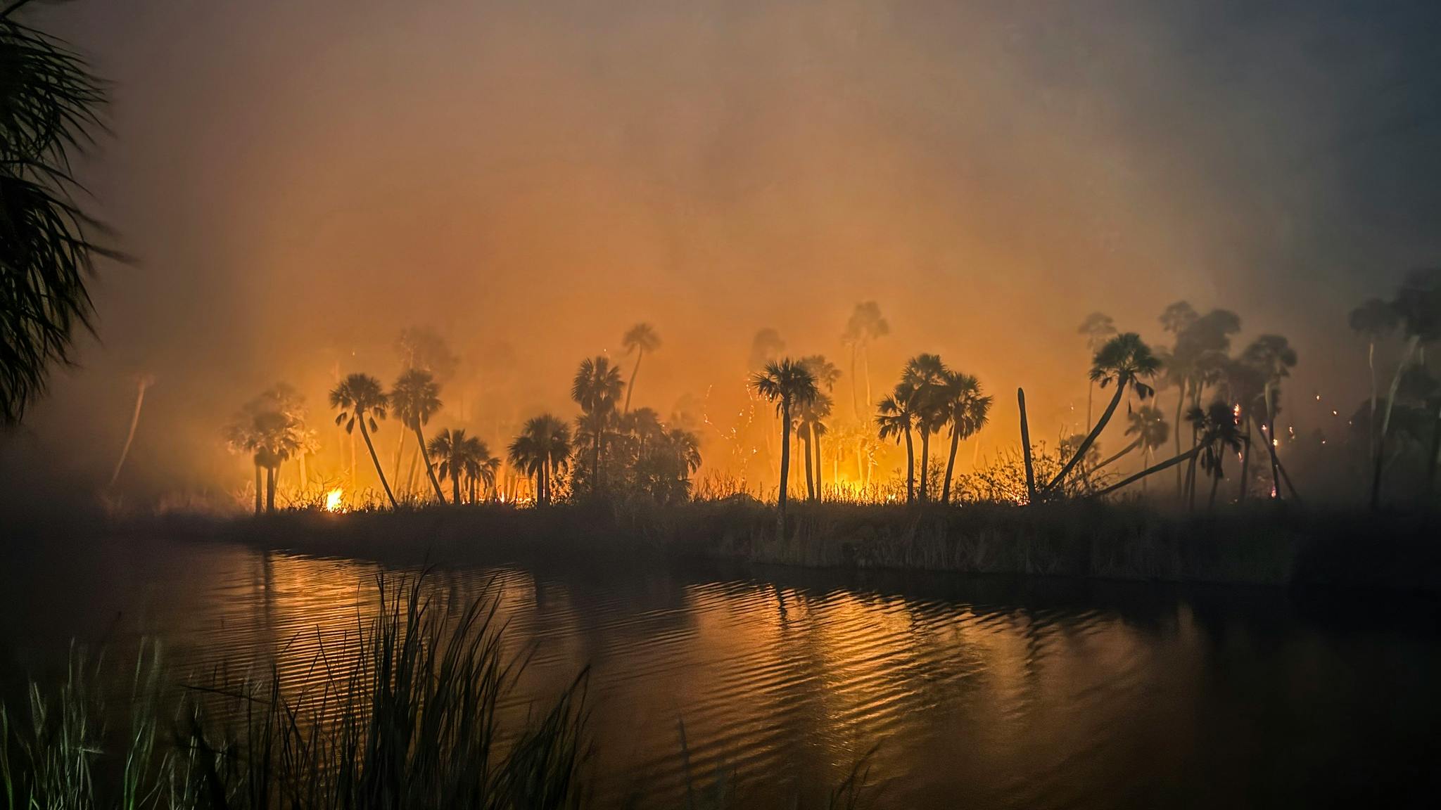 Drought, Dry Conditions Fuel Unprecedented Wildfire Crisis in FL