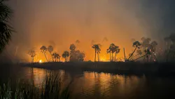 Nearly 120 acres burned at a Hernando County park in late March, one of the brush fires in Florida in the first three months of 2026. Nearly 120 acres burned at a Hernando County park in late March, one of the brush fires in Florida in the first three months of 2026.