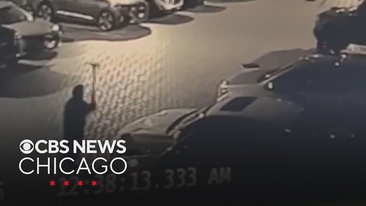 Man Caused Nearly $130,000 in Damages With Axe on Vehicles at Chicago Firehouses