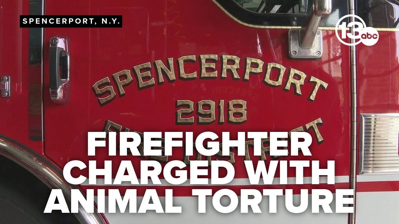 Failed Cat Rescue Leads to Spencerport, NY, Firefighter Being Charged