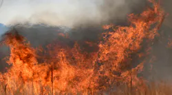 The U.S. Wildland Fire Service, established in January under the Department of the Interior, consolidates firefighting efforts across multiple agencies to improve wildfire response in Colorado.