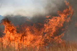 The U.S. Wildland Fire Service, established in January under the Department of the Interior, consolidates firefighting efforts across multiple agencies to improve wildfire response in Colorado. The U.S. Wildland Fire Service, established in January under the Department of the Interior, consolidates firefighting efforts across multiple agencies to improve wildfire response in Colorado.