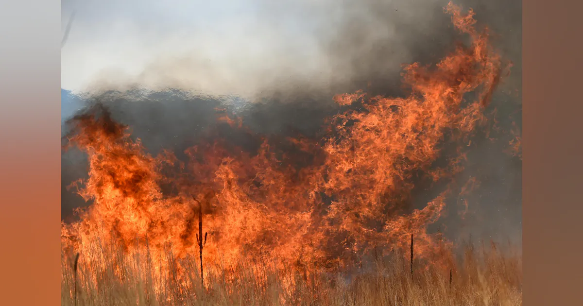 New Federal Wildland Fire Service Enhances Wildfire Response in Colorado