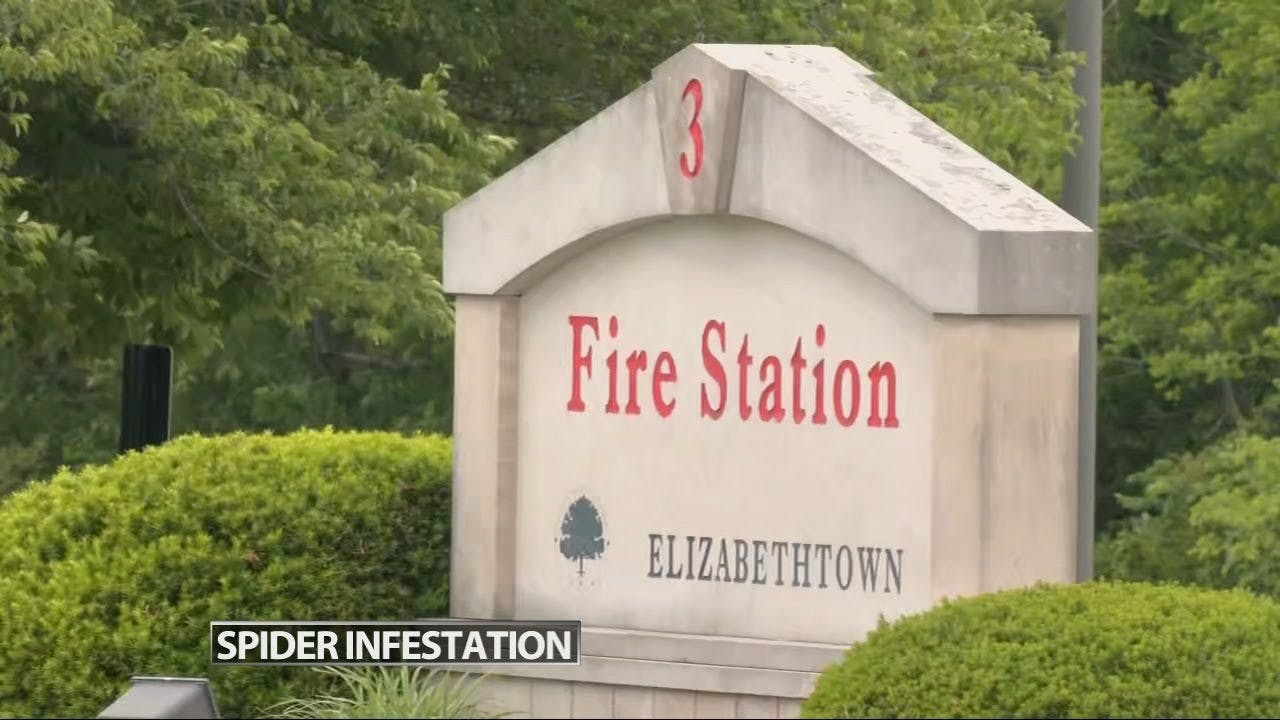 2 Elizabethtown firefighters bitten by brown recluse spiders after infestation at station