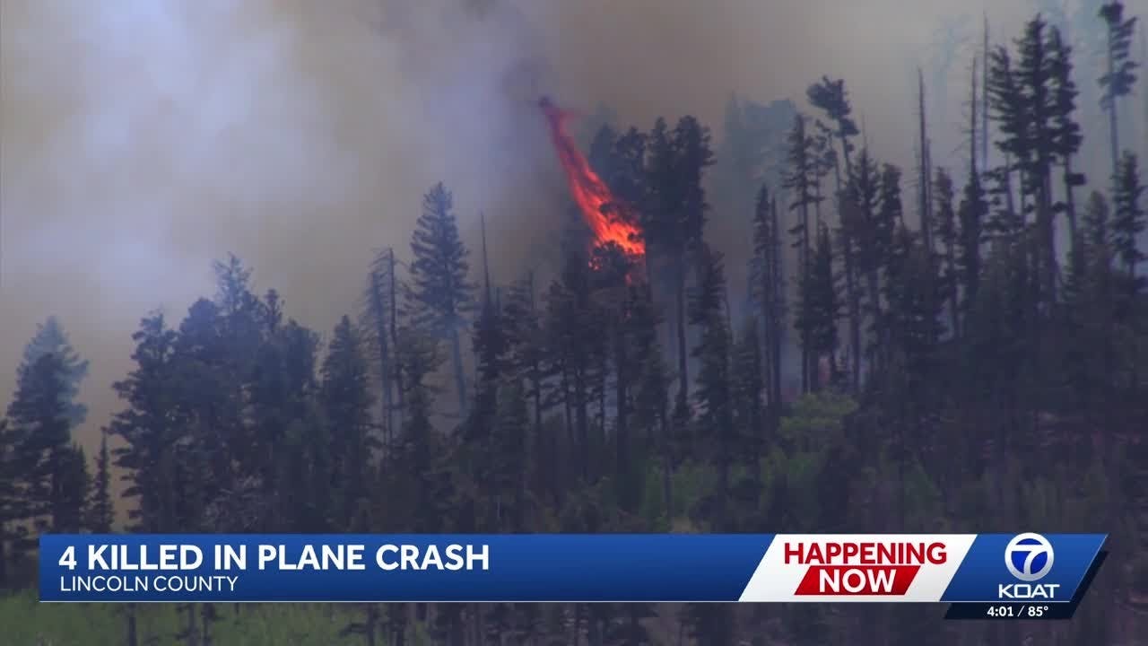 Four Killed in Medical Plane Crash in New Mexico