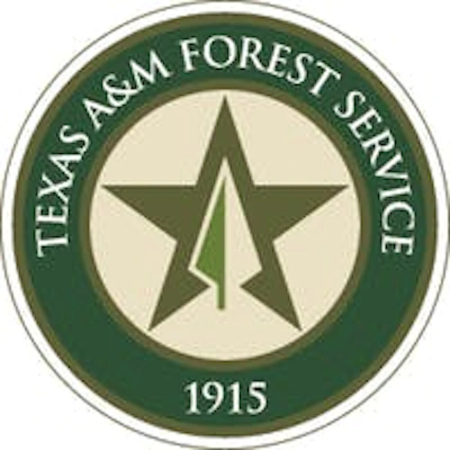 6a1034fed0fc61d9a86d6aca Texas Am