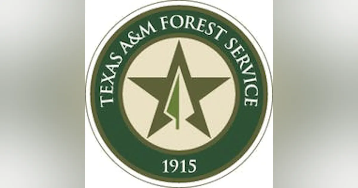 Texas A&M Forest Service Among Agencies Receiving Wildfire Data from Satellites