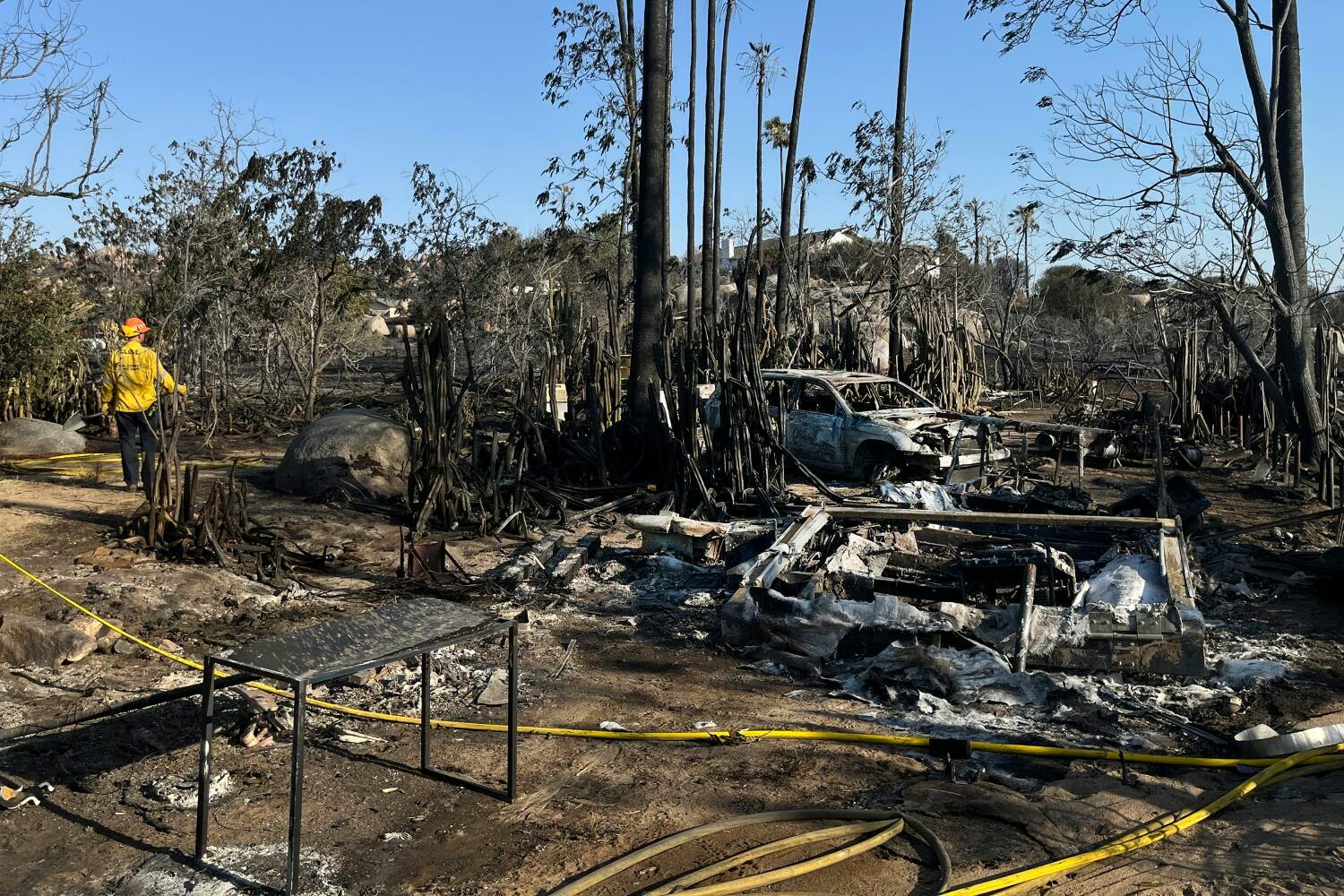 Millions of Bees Perish in Riverside County, CA Fire
