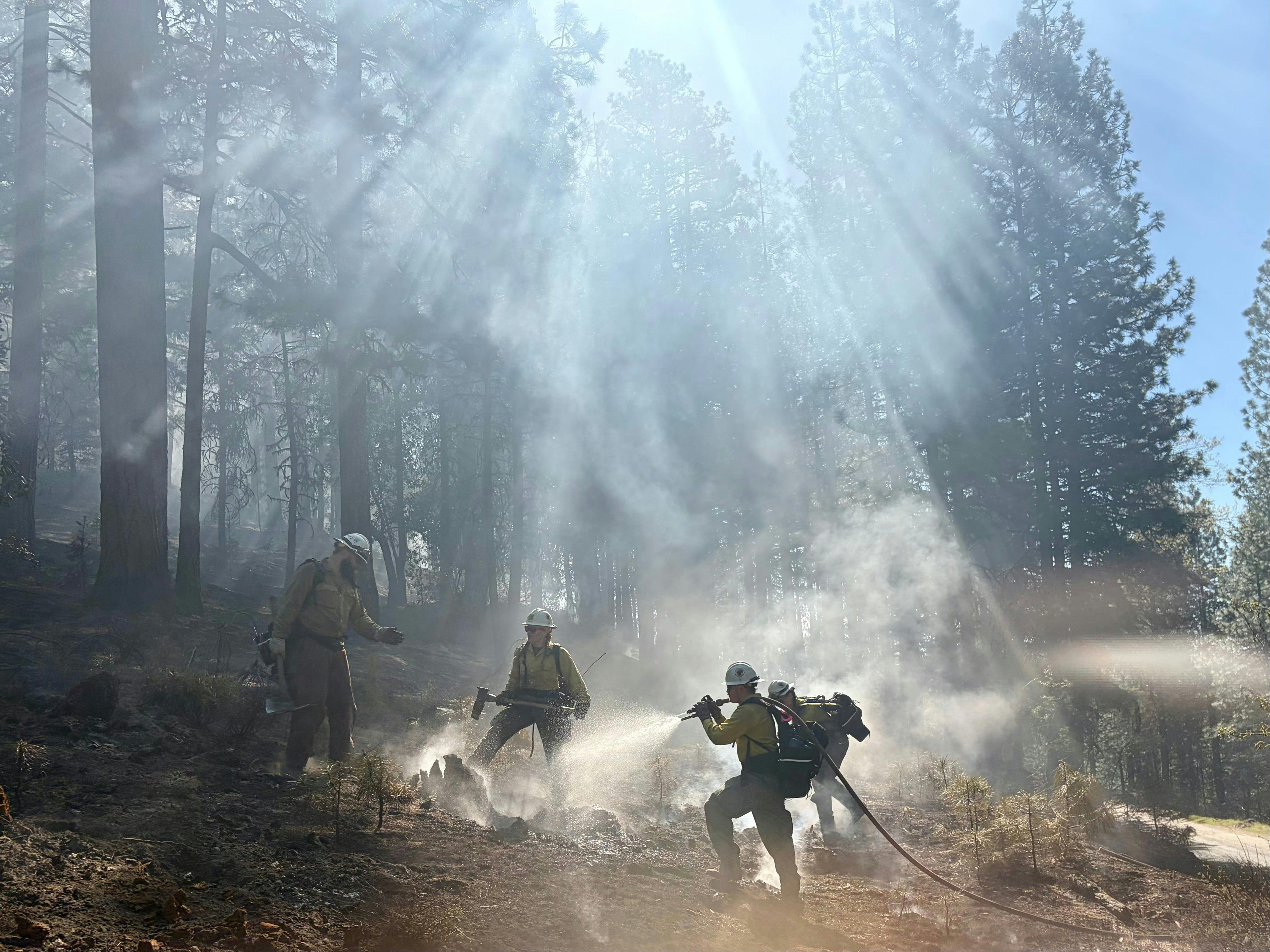 Firefighters mop up at a controlled burn set to remove flammable brush,