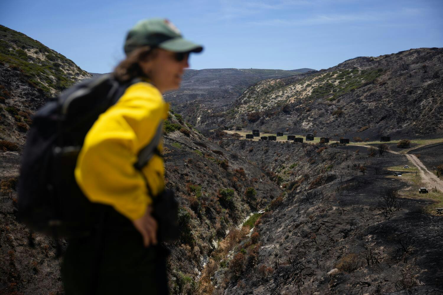 Wildfire Impact on Pristine Santa Rosa Island, CA, Investigated
