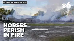 Fire at a Saratoga Harness track claims the lives of multiple horses
