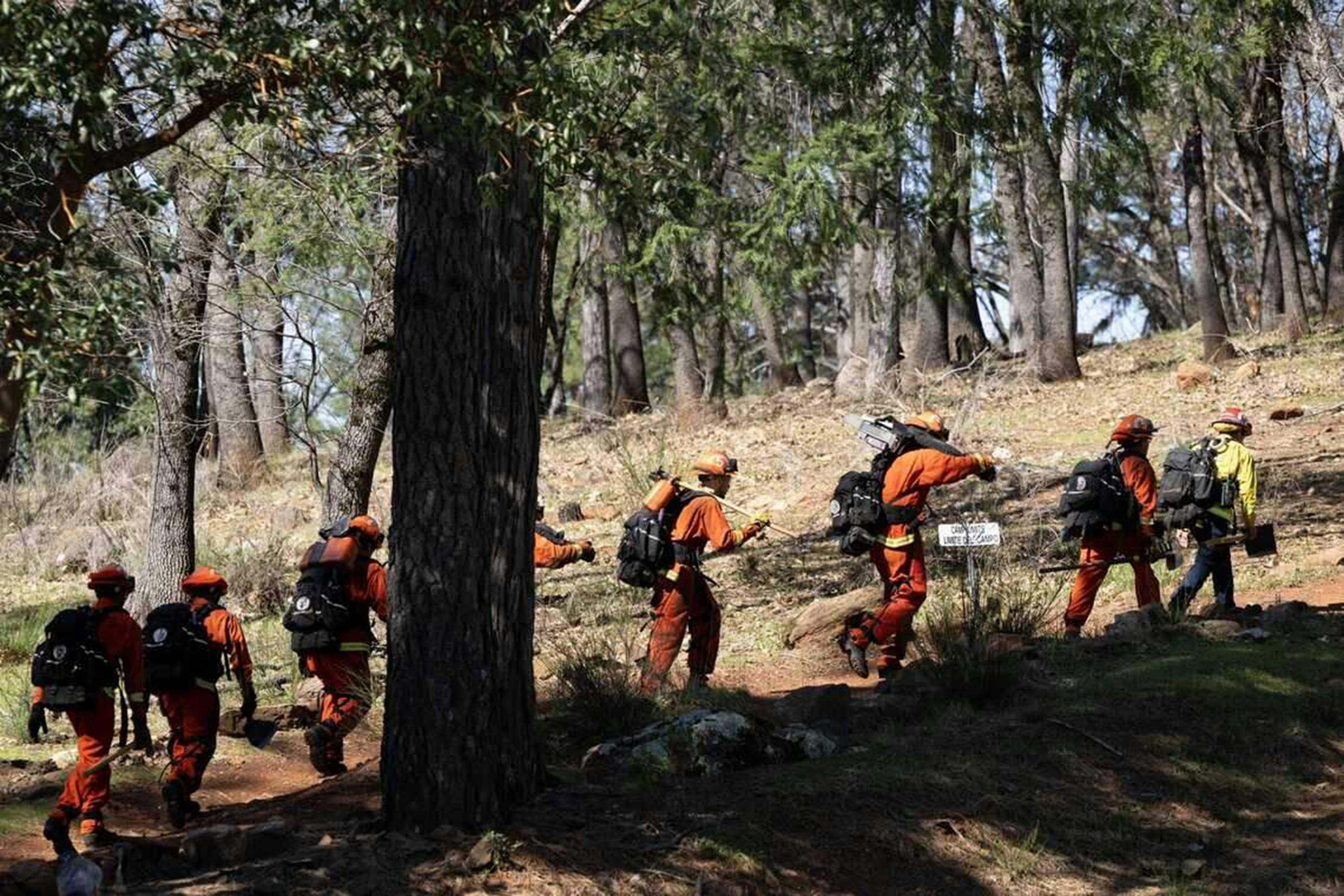 Inmates walk to a training area to cut logs at the Growlersburg Conservation Camp near Georgetown.