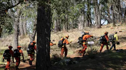 Inmates walk to a training area to cut logs at the Growlersburg Conservation Camp near Georgetown.
