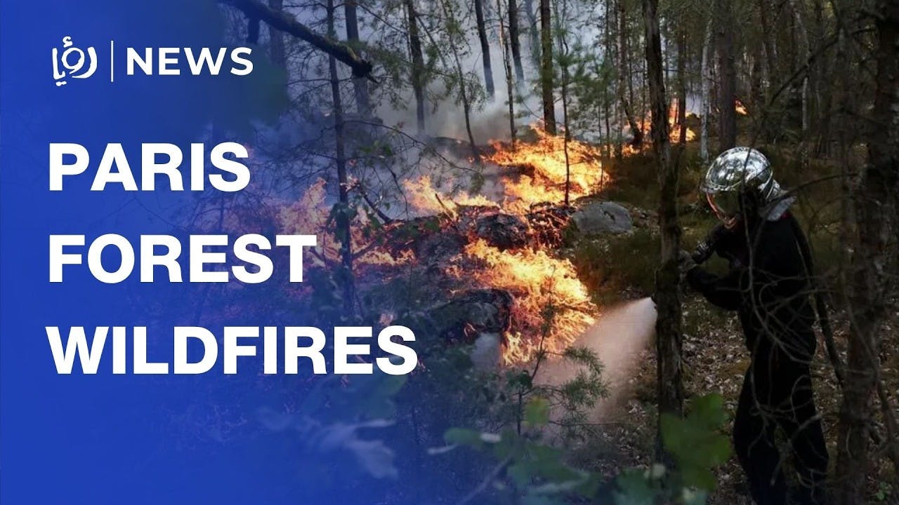Wildfires in historic Fontainebleau forest near Paris in July 2026