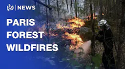 Wildfires in historic Fontainebleau forest near Paris in July 2026