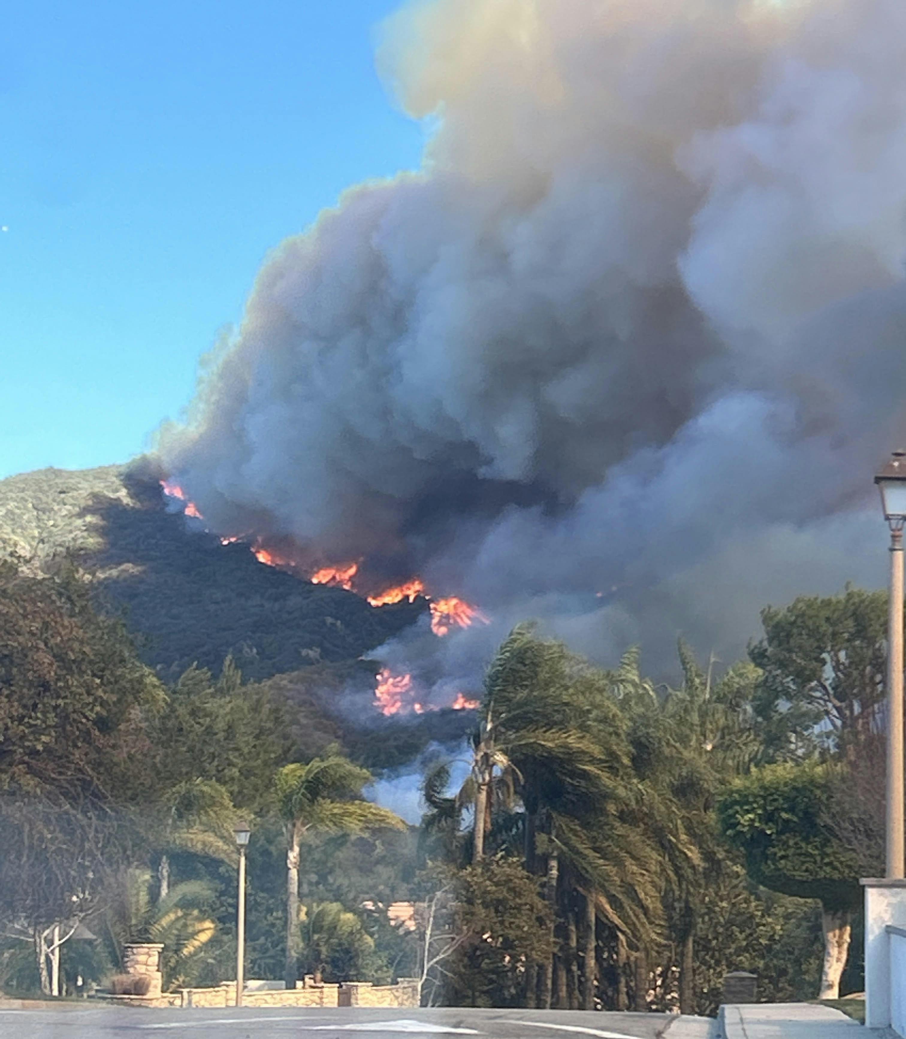Standing Firefighter Order No. 1 includes a call for officers/crews to keep informed about fire weather conditions&mdash;in regard to the wildland, dry weather, lightning, heat and wind&mdash;because of their effect on the flammability of vegetation. For example, wind can drive fire in the wildland uphill or downhill, as shown in this image that was captured during the January 2025 Palisades Fire.