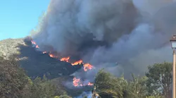 Standing Firefighter Order No. 1 includes a call for officers/crews to keep informed about fire weather conditions—in regard to the wildland, dry weather, lightning, heat and wind—because of their effect on the flammability of vegetation. For example, wind can drive fire in the wildland uphill or downhill, as shown in this image that was captured during the January 2025 Palisades Fire.