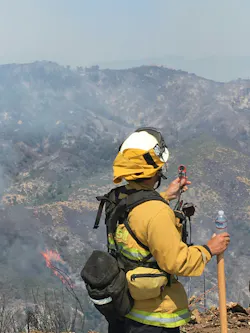Standing Firefighter Order No. 5 directs command/officers to post lookouts when there is possible danger. Members who serve as a lookout must be trained to identify triggers or changes in the fire environment that meet action points, to pass along to crews that are fighting the fire.
