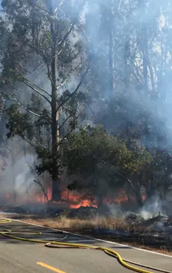 Standing Firefighter Order No. 3 requires that all actions be based on current and expected behavior of the fire, including the use of the DRAW mnemonic (defend, reinforce, advance, withdraw).