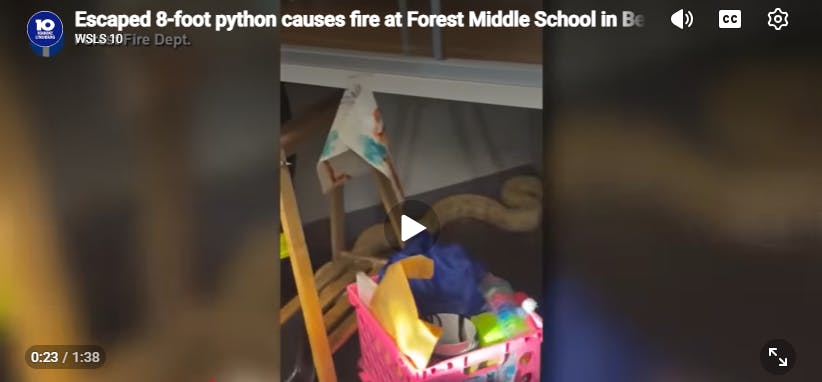 Python Blamed for Starting Fire