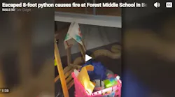 Python Blamed for Starting Fire