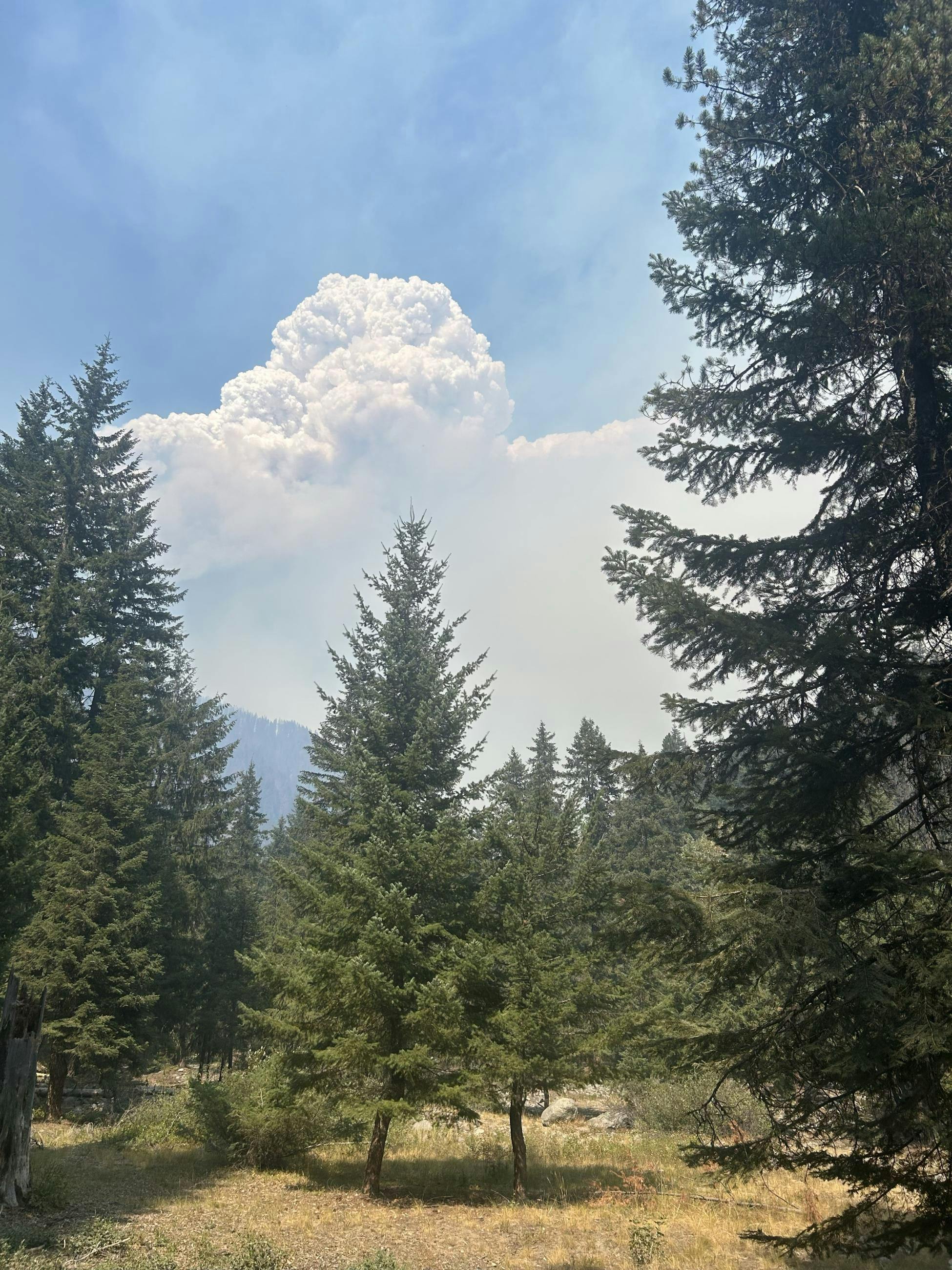 A smoke column rises from the northwest edge of the Little Giant Fire.