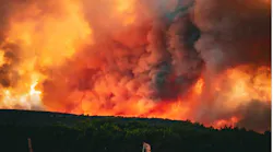 🚨 Ross Fire Explodes in North Texas: 90,000 Acres Burned & 157 Structures Destroyed & Animals Killed