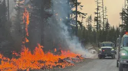 Firefighter dies from injuries battling Austin Fire in Mt Hood National Forest