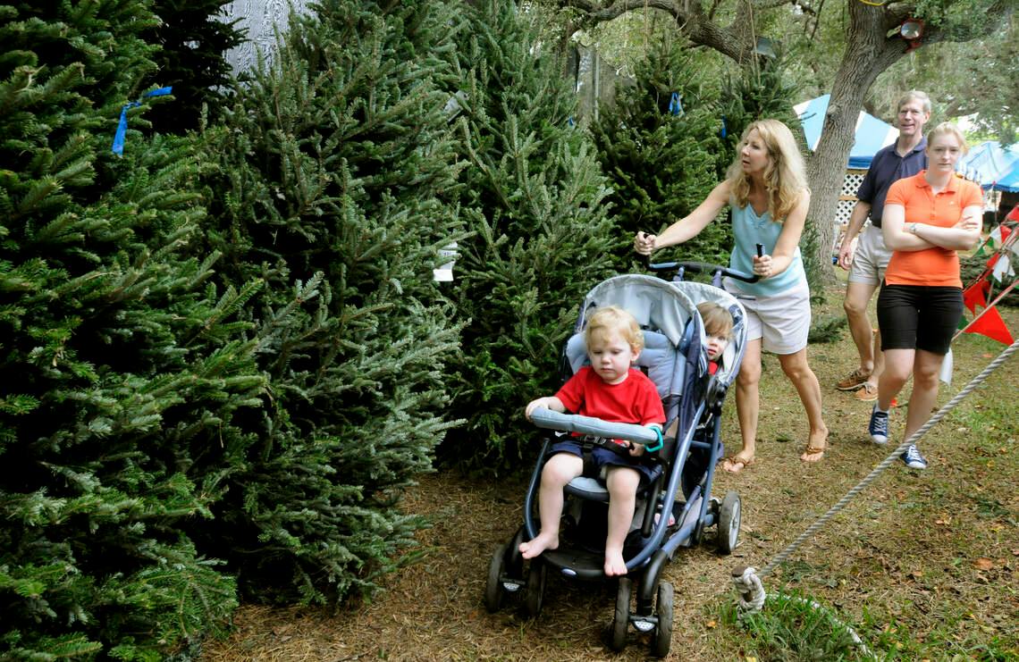 A family searches the Firefighters Christmas Tree lot that's been in operation for 30 years.