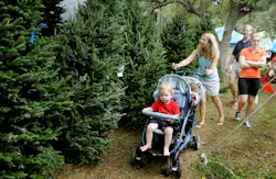 A family searches the Firefighters Christmas Tree lot that's been in operation for 30 years.